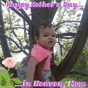 Meet your Posher, Tabitha